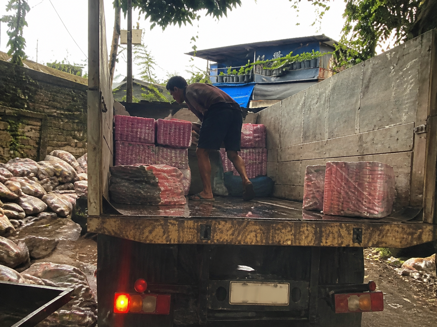 Plastic collection and recovery campaign